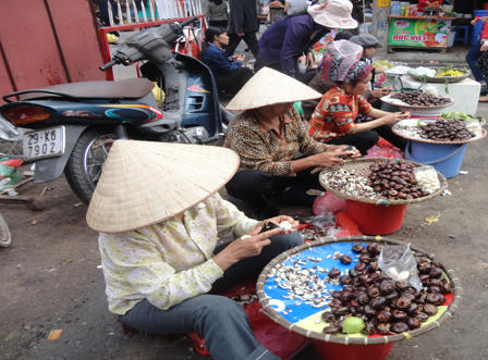 “Dân công sở” chen chúc cầu may ở Phủ Tây Hồ